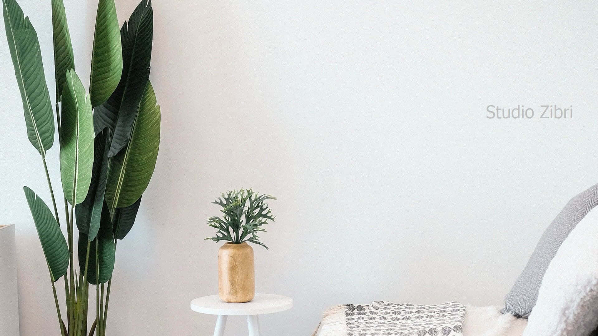 A White Couch With A Plant In Front Of It