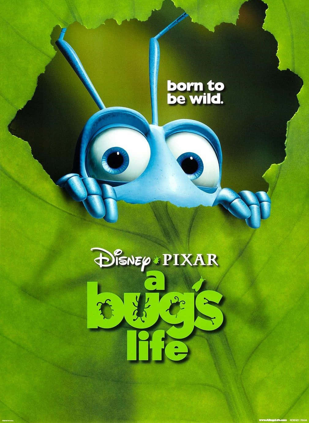 Official Ant Cover A Bugs Life Wallpaper
