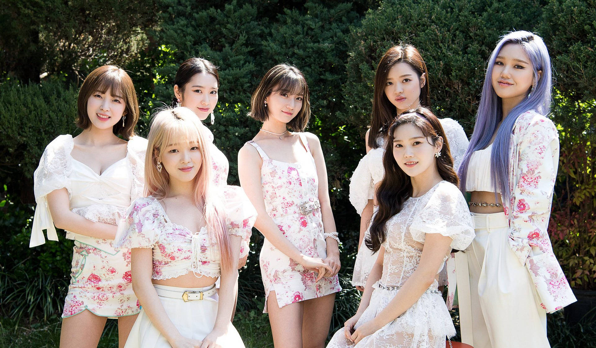 Oh My Girl White Floral Laces Wallpaper