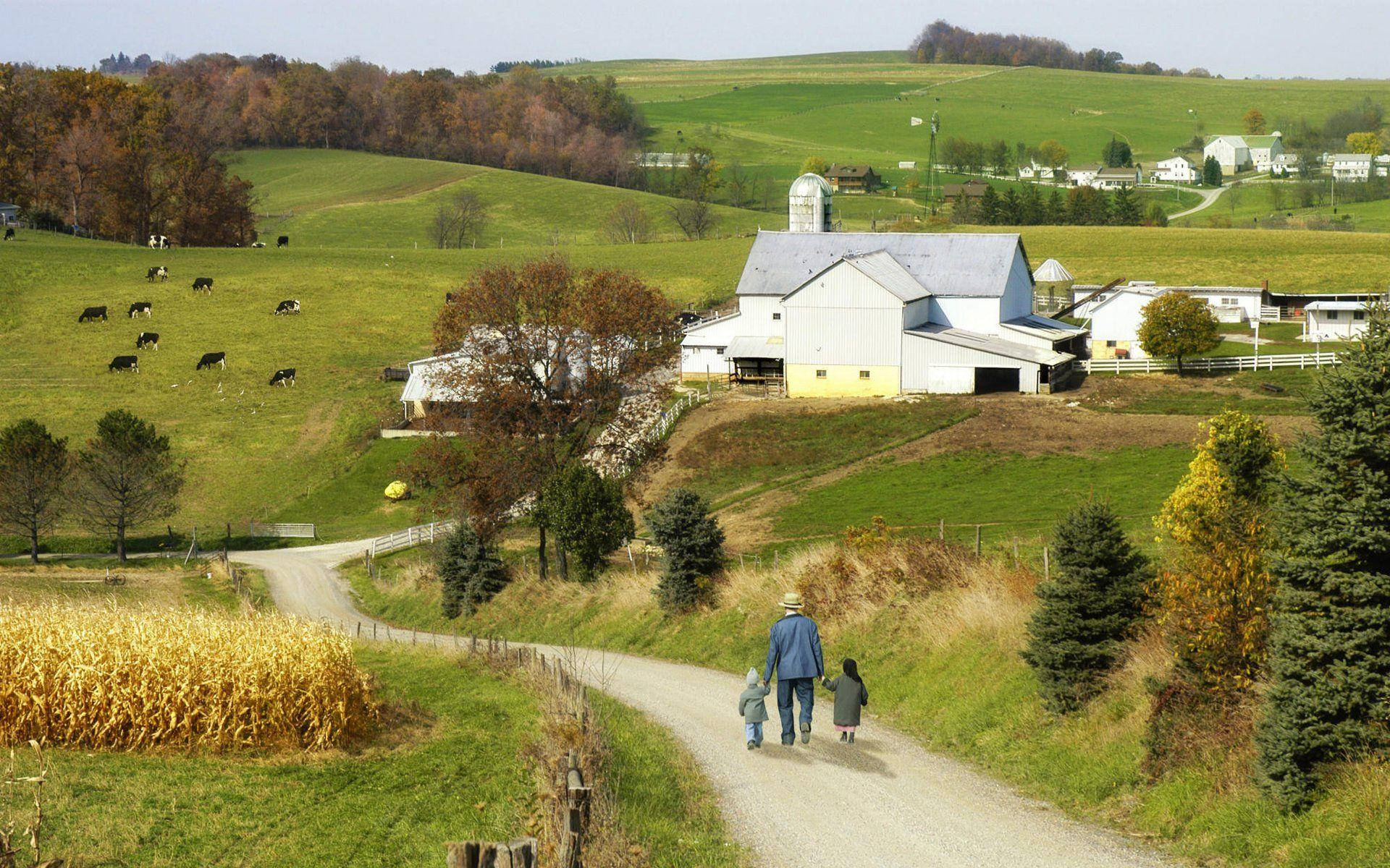 Ohio Farm Picture