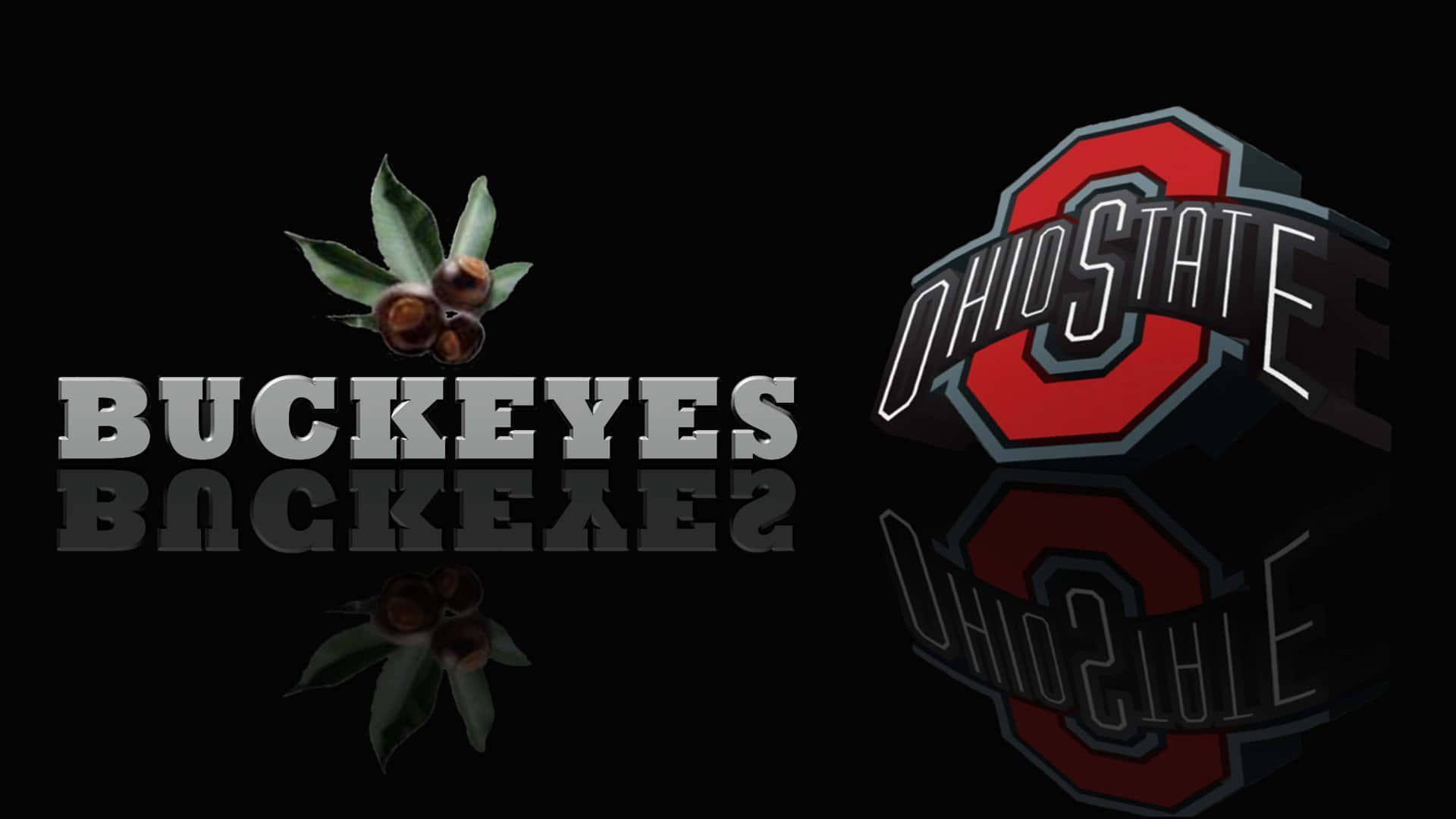 Ohio State Logo Next To Buckeye Leaves And Fruits Wallpaper