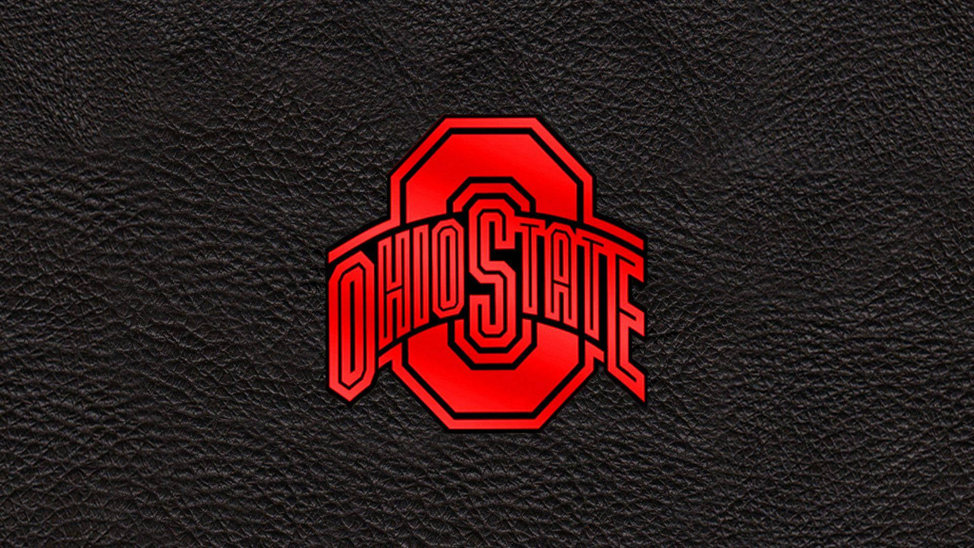 Ohio State University Leather Texture Background