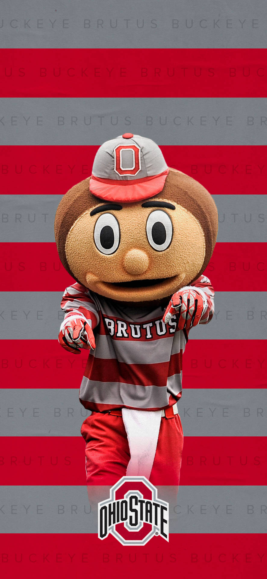 Ohio State University Mascot Portrait Background