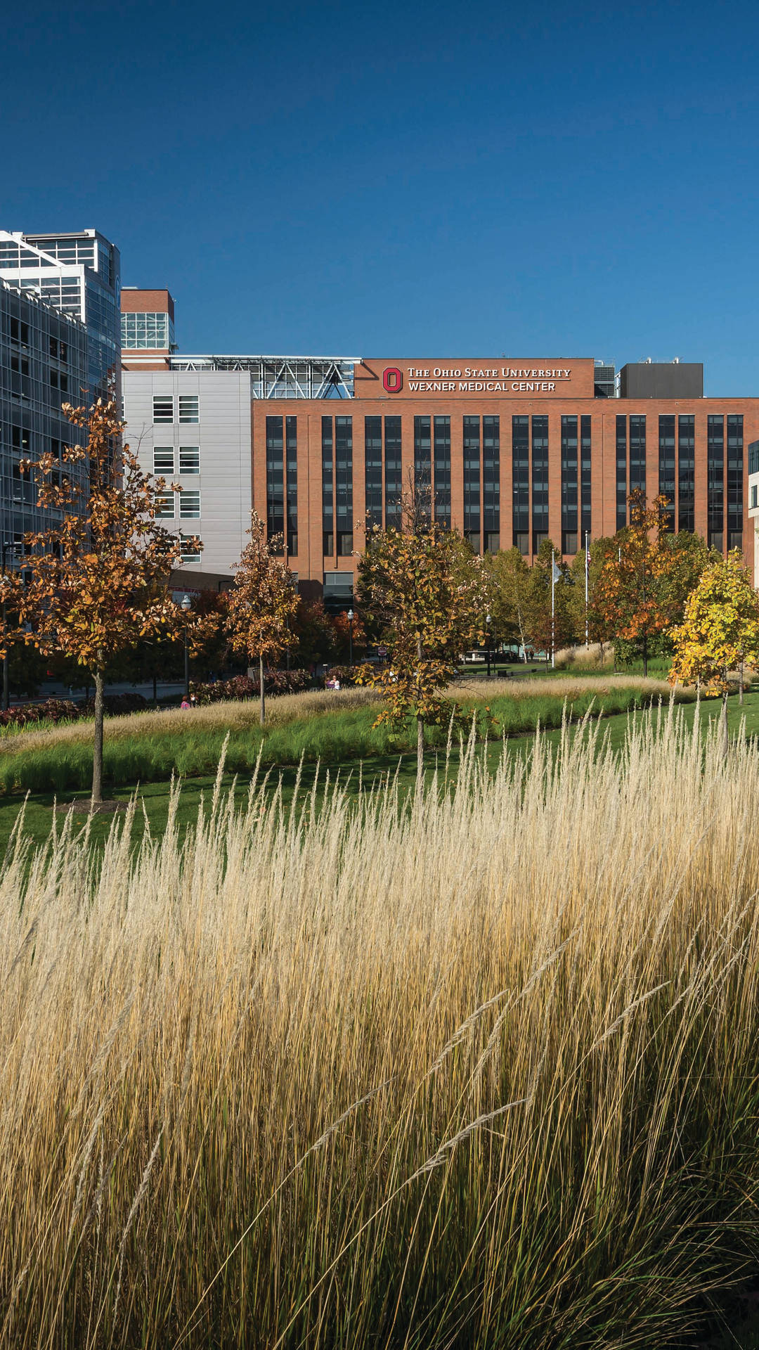 Ohio State University Medical Center Picture