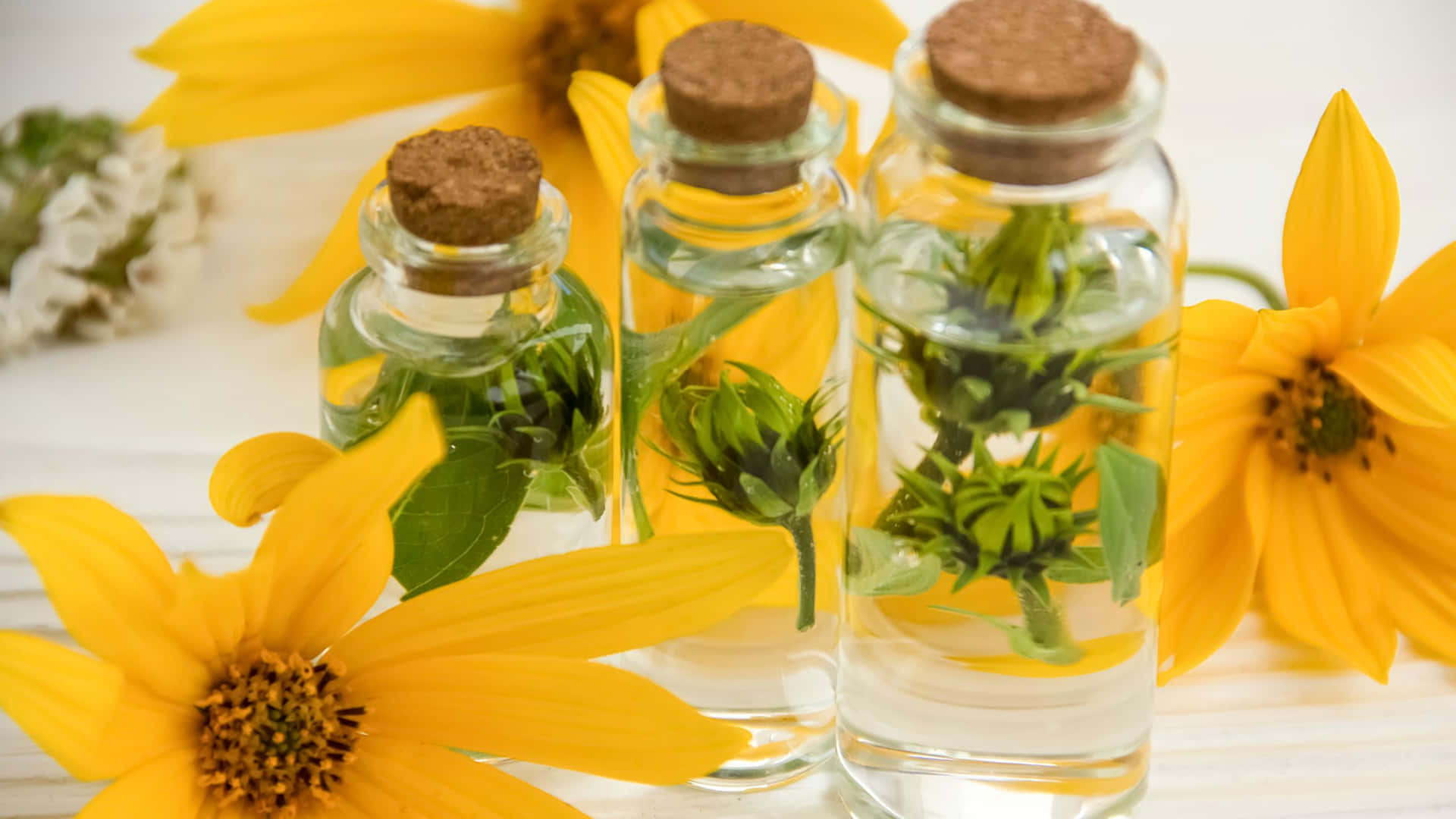 A Group Of Bottles With Sunflowers And Flowers