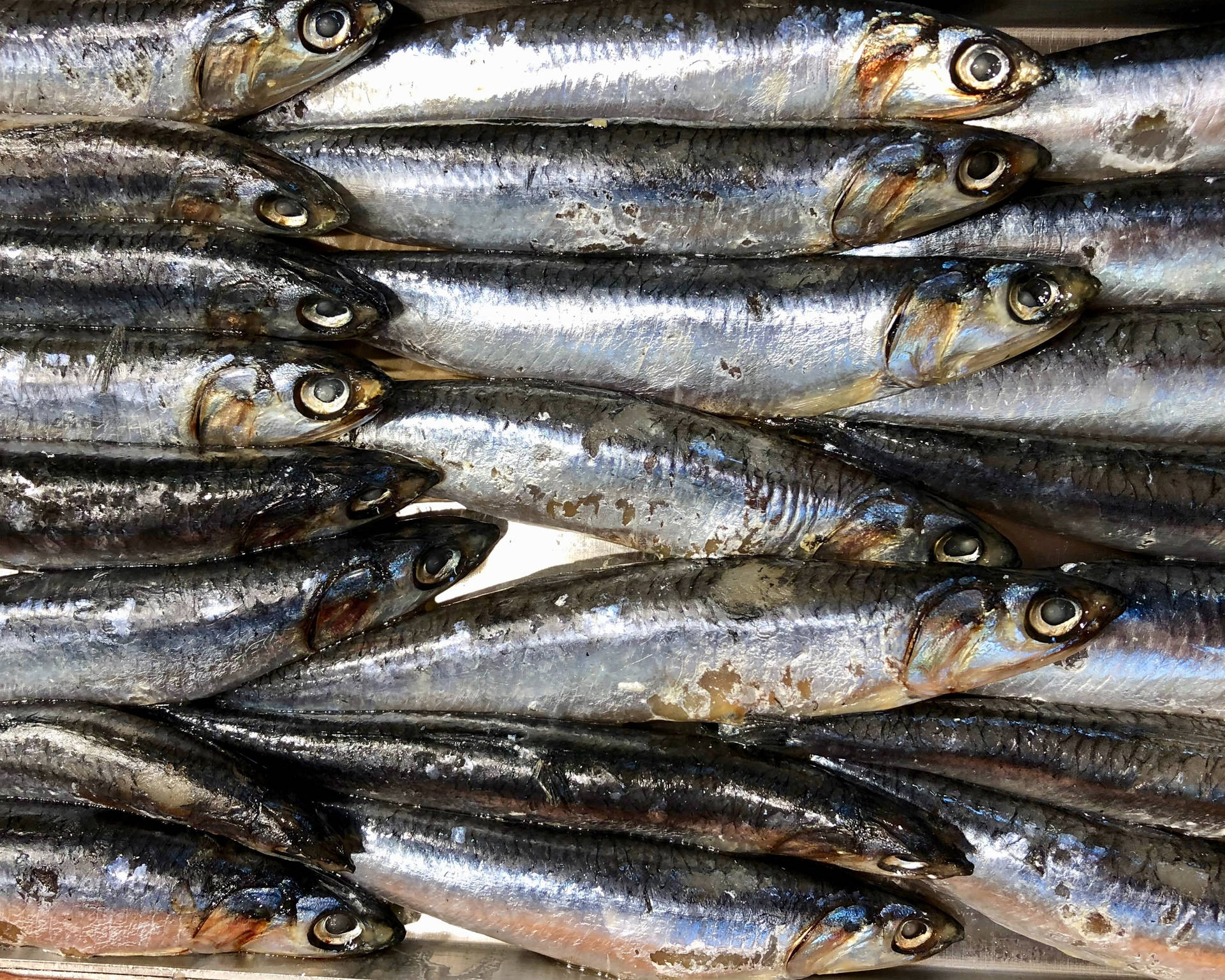 Oily Fish Anchovies Pile Close Up Wallpaper