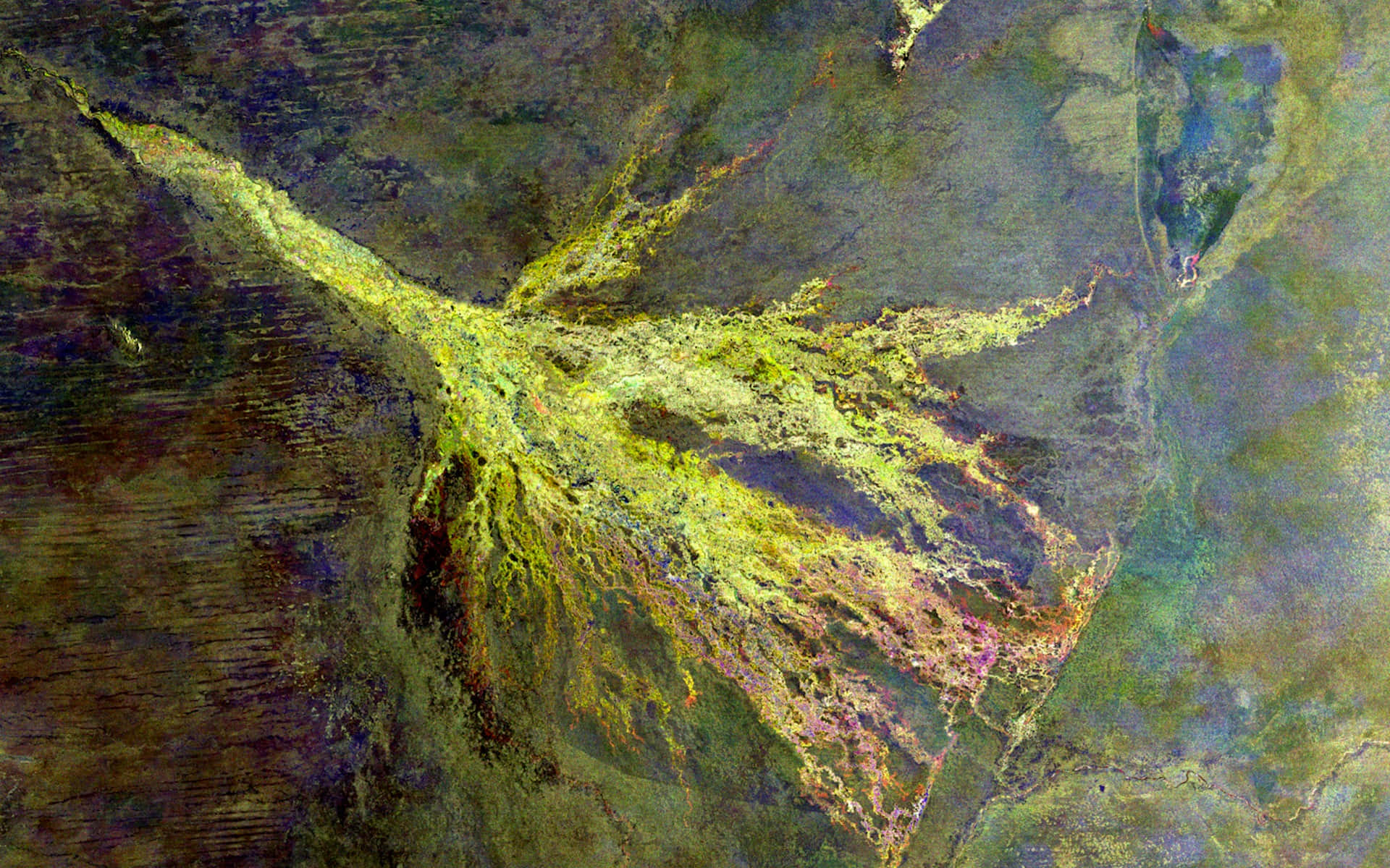 Okavango Delta From Space Wallpaper