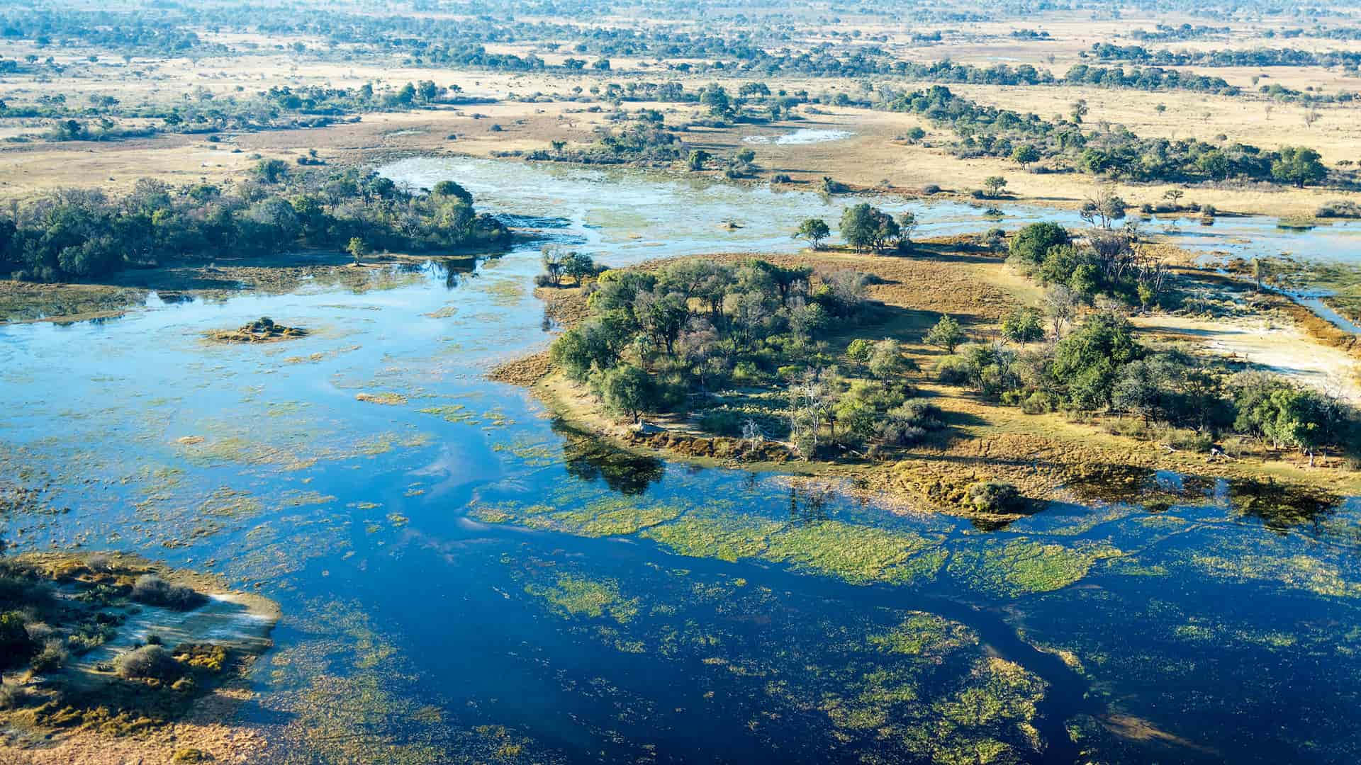 Okavango Delta Geographical Feature Wallpaper