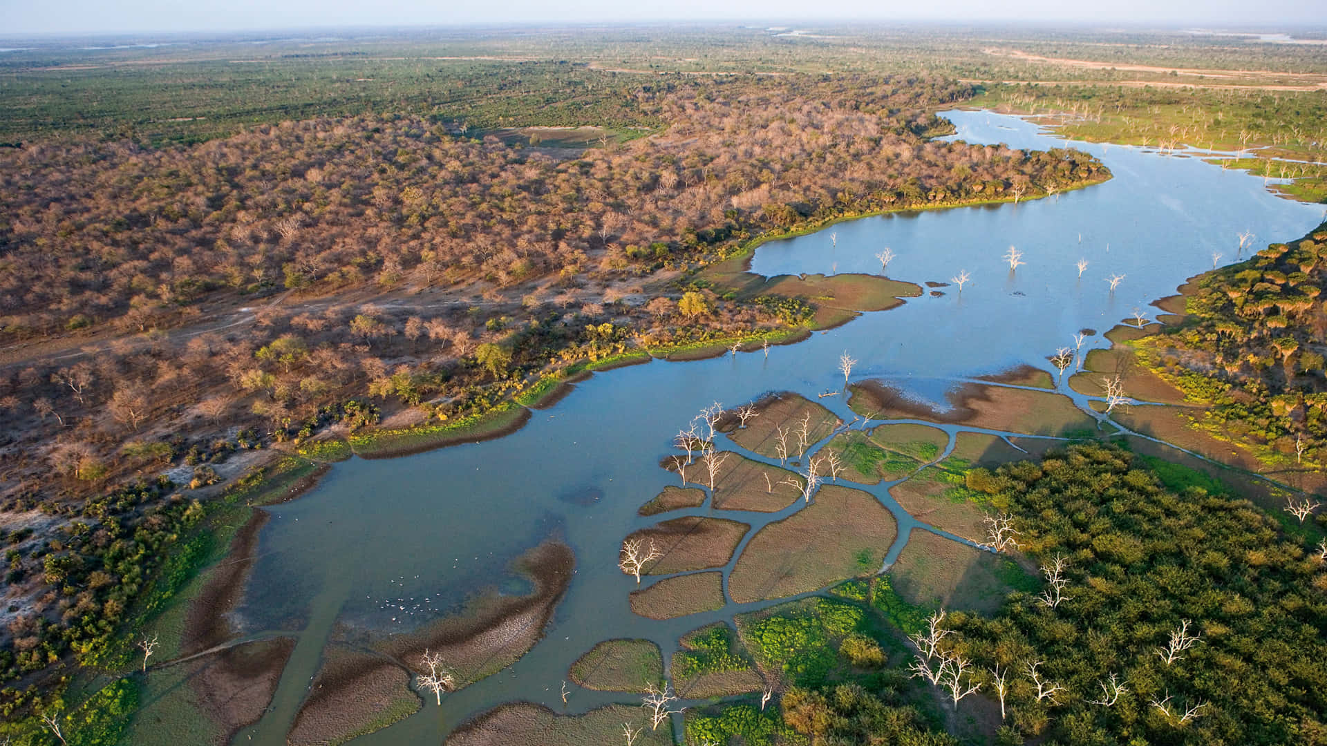 Okavangodelta - Afrikas Naturliga Underverk. Wallpaper