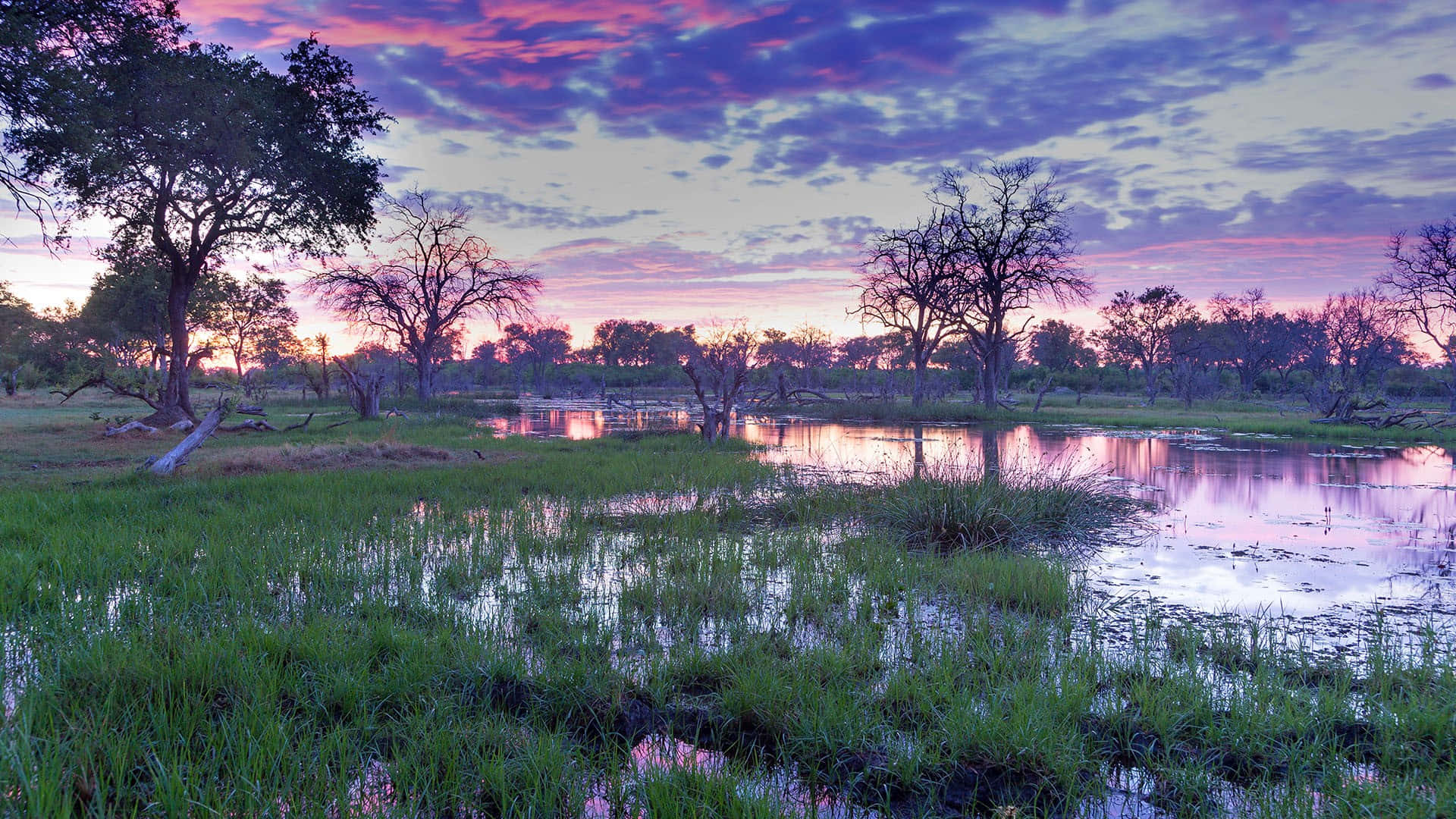 Okavango Delta In Pastellhimmel-ansicht Wallpaper
