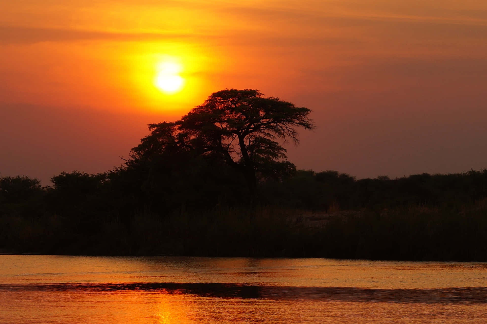 Okavangodelta-silhouette Bei Sonnenuntergang Wallpaper