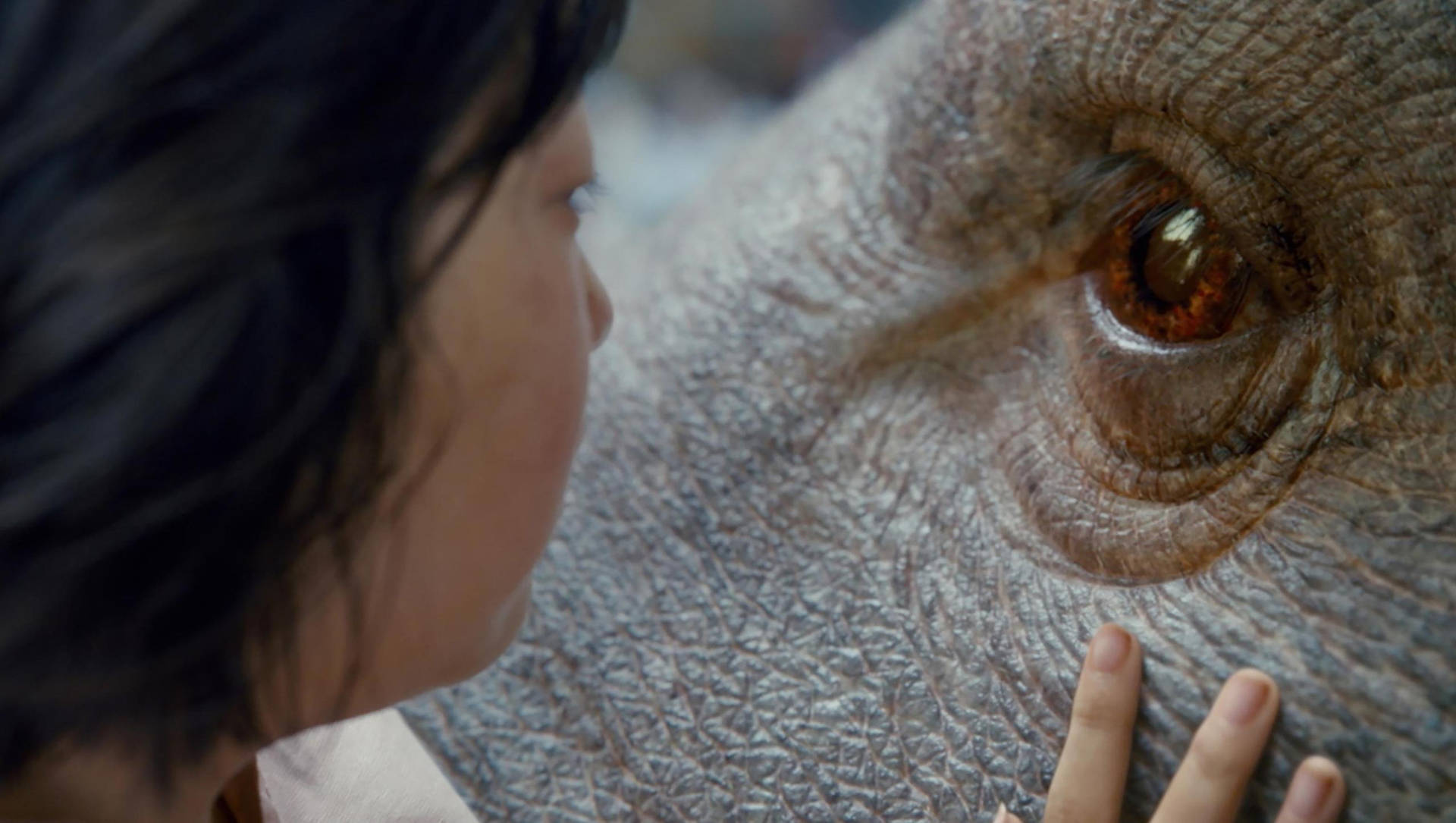 Okja's Eyes Close-up