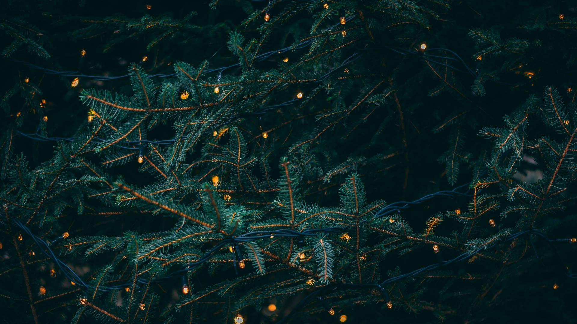 Árvorede Natal Antiga Com Luzes Estéticas. Papel de Parede
