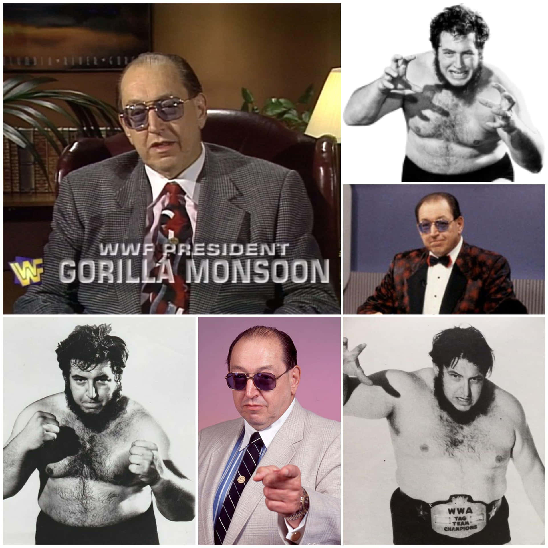 Old And Young American Professional Wrestler Gorilla Monsoon Collage Wallpaper