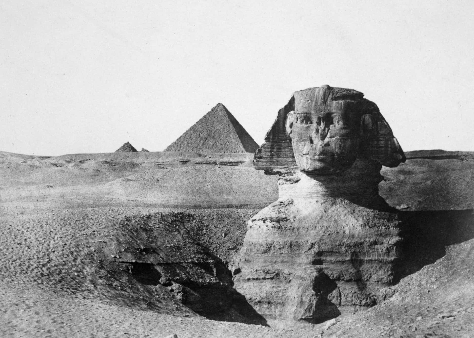 Old Black And White Ancient Remain Of The Great Sphinx Wallpaper