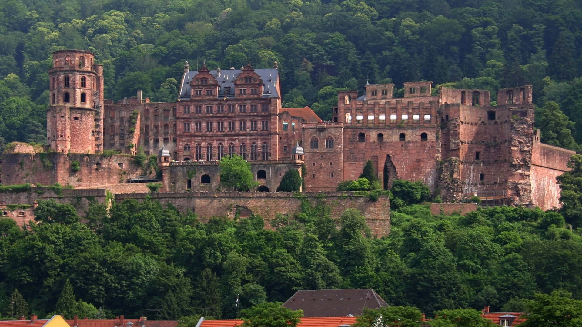 Gammaltmen Häpnadsväckande Heidelberg Slott. Wallpaper