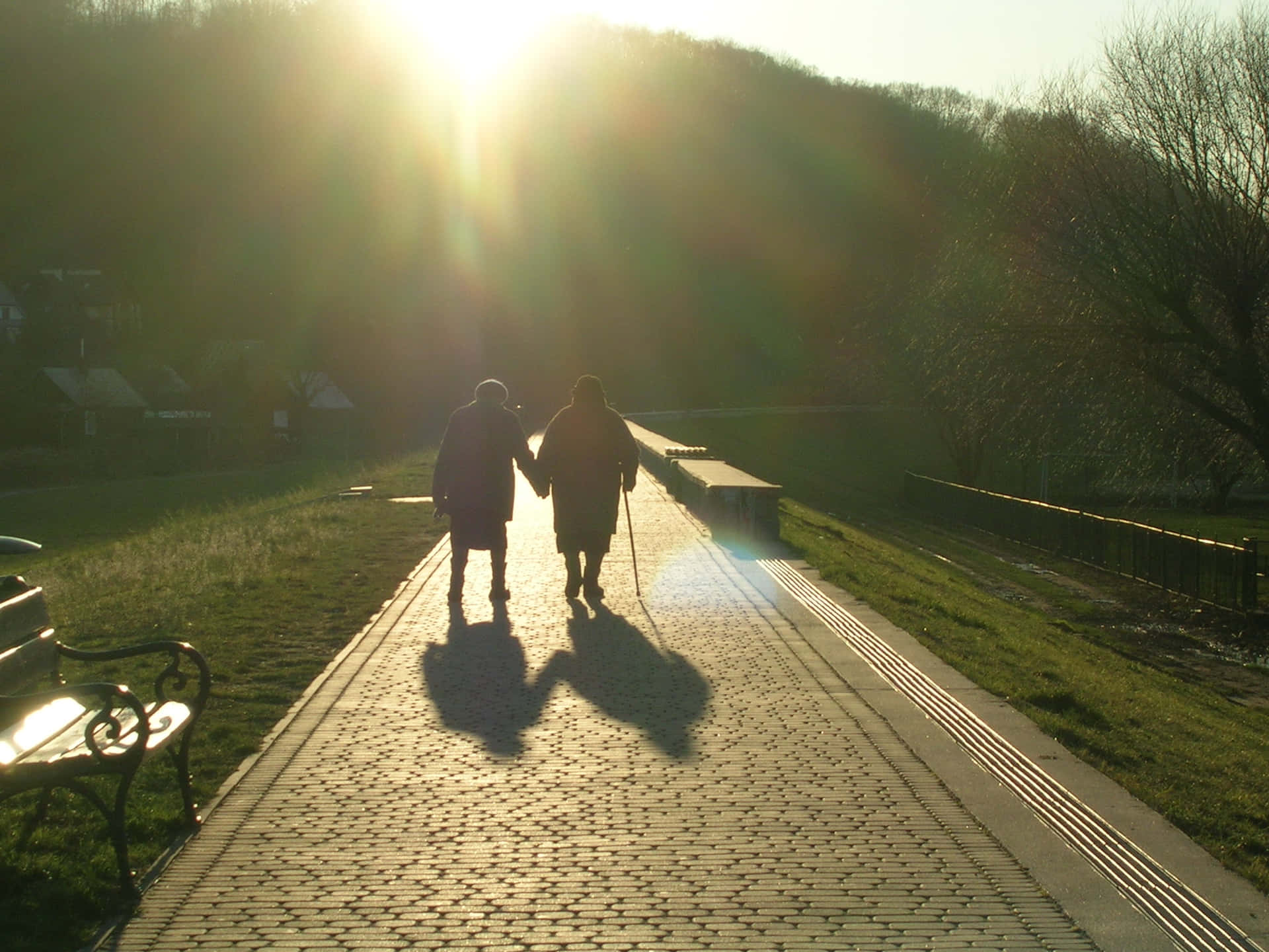 Old Couple In A Sunny Walk Background