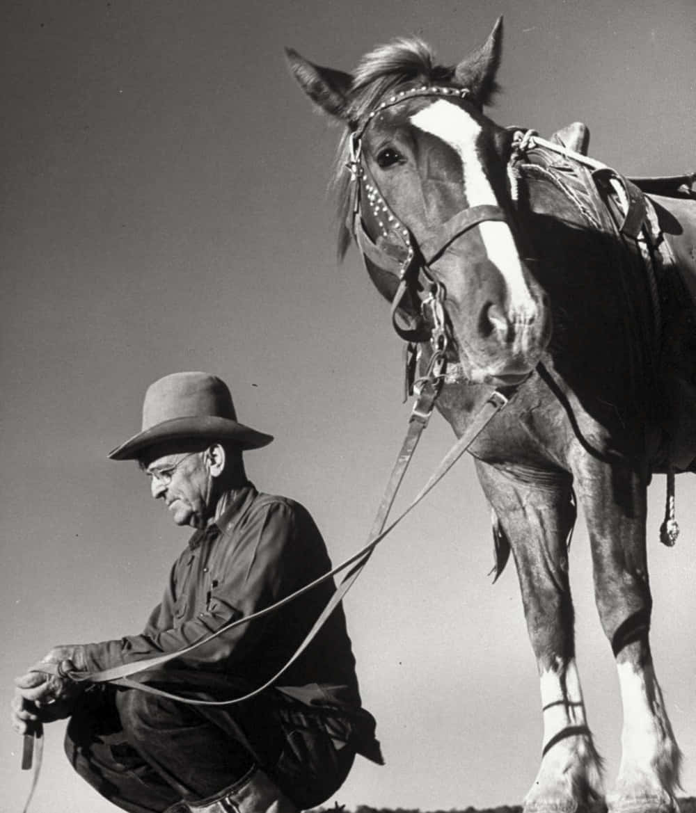 Old Cowboy Holding Horse Picture