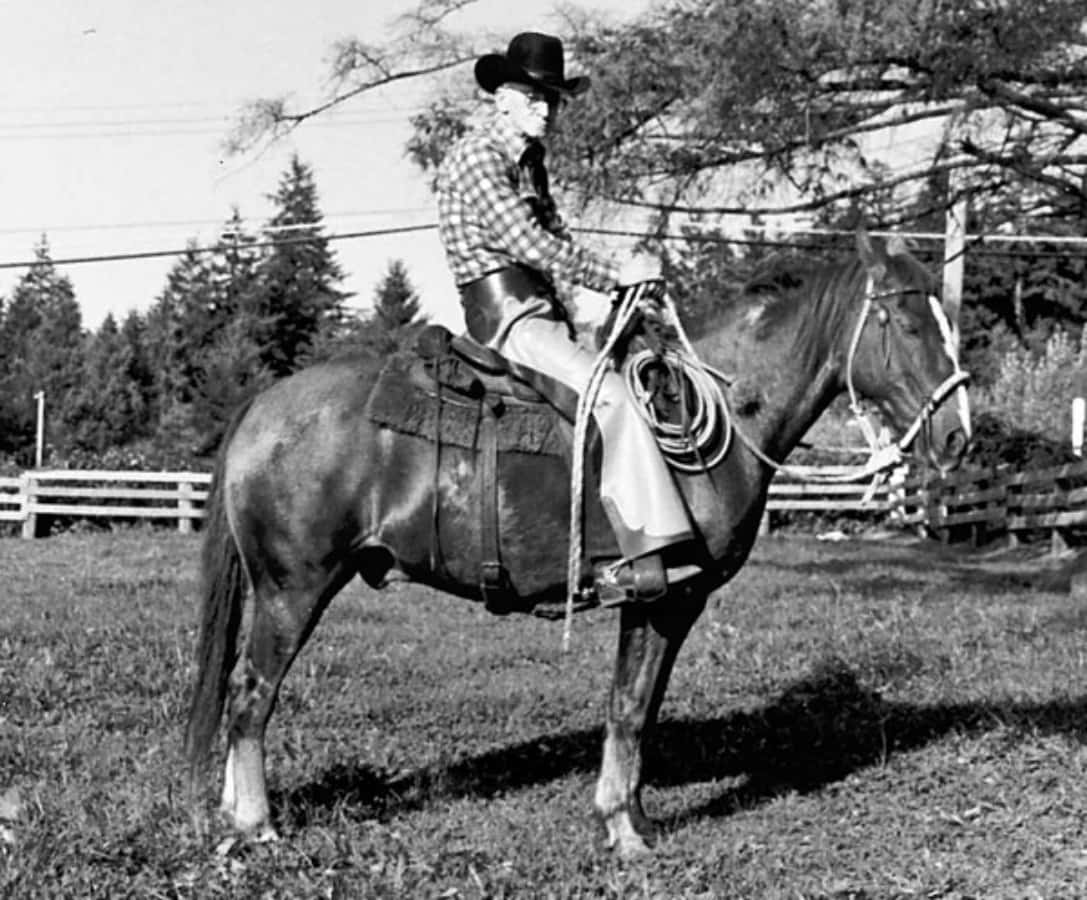 Gammalcowboy Som Rider På Häst Bild