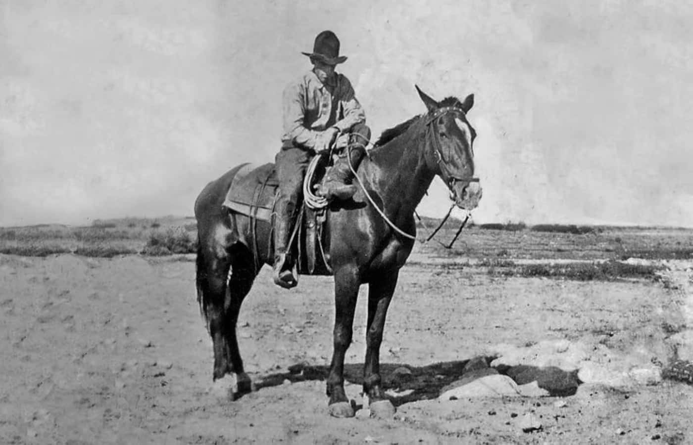 Fotodi Un Vecchio Cowboy In Bianco E Nero Su Un Cavallo