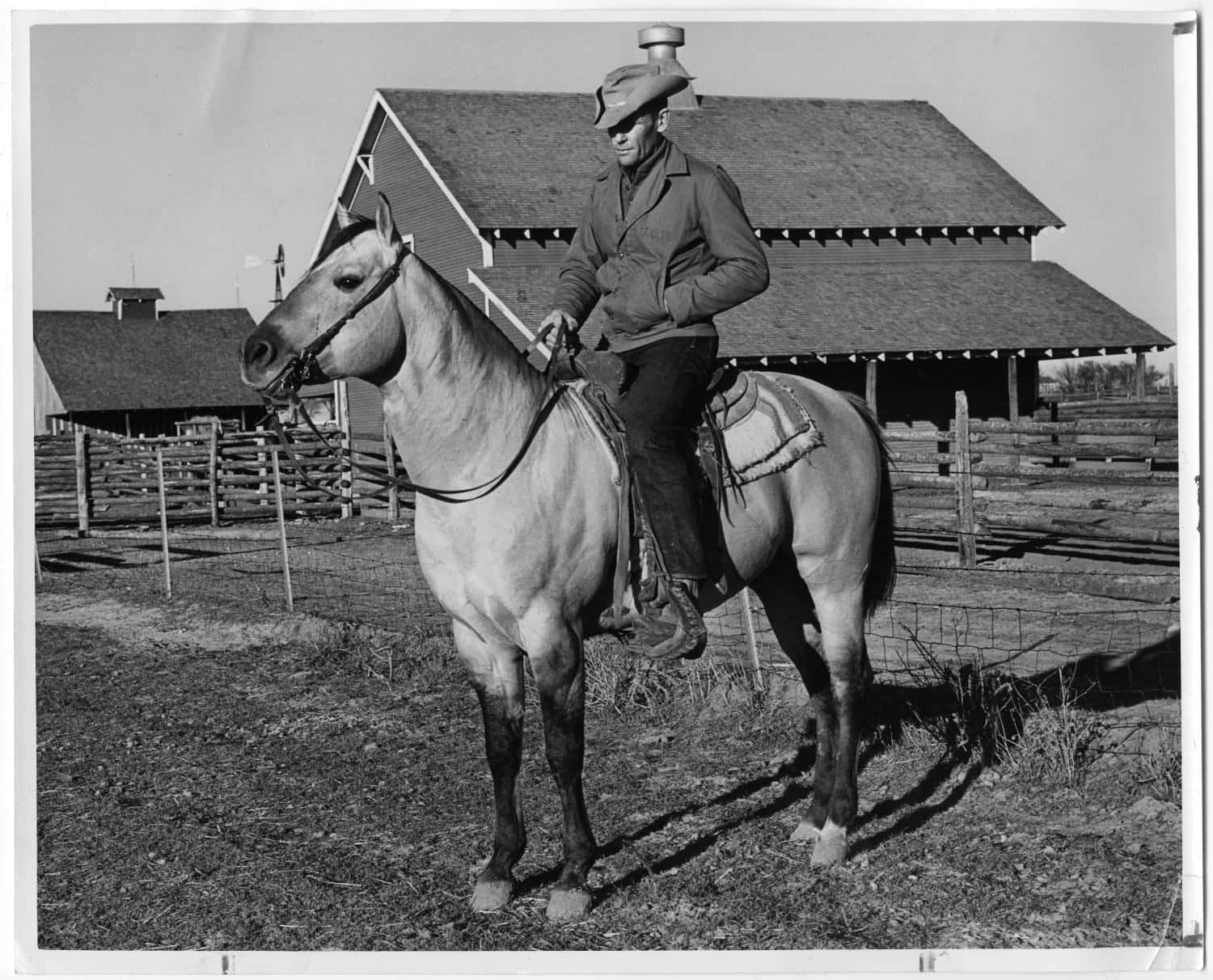 Black And White Old Cowboy Riding Horse Picture