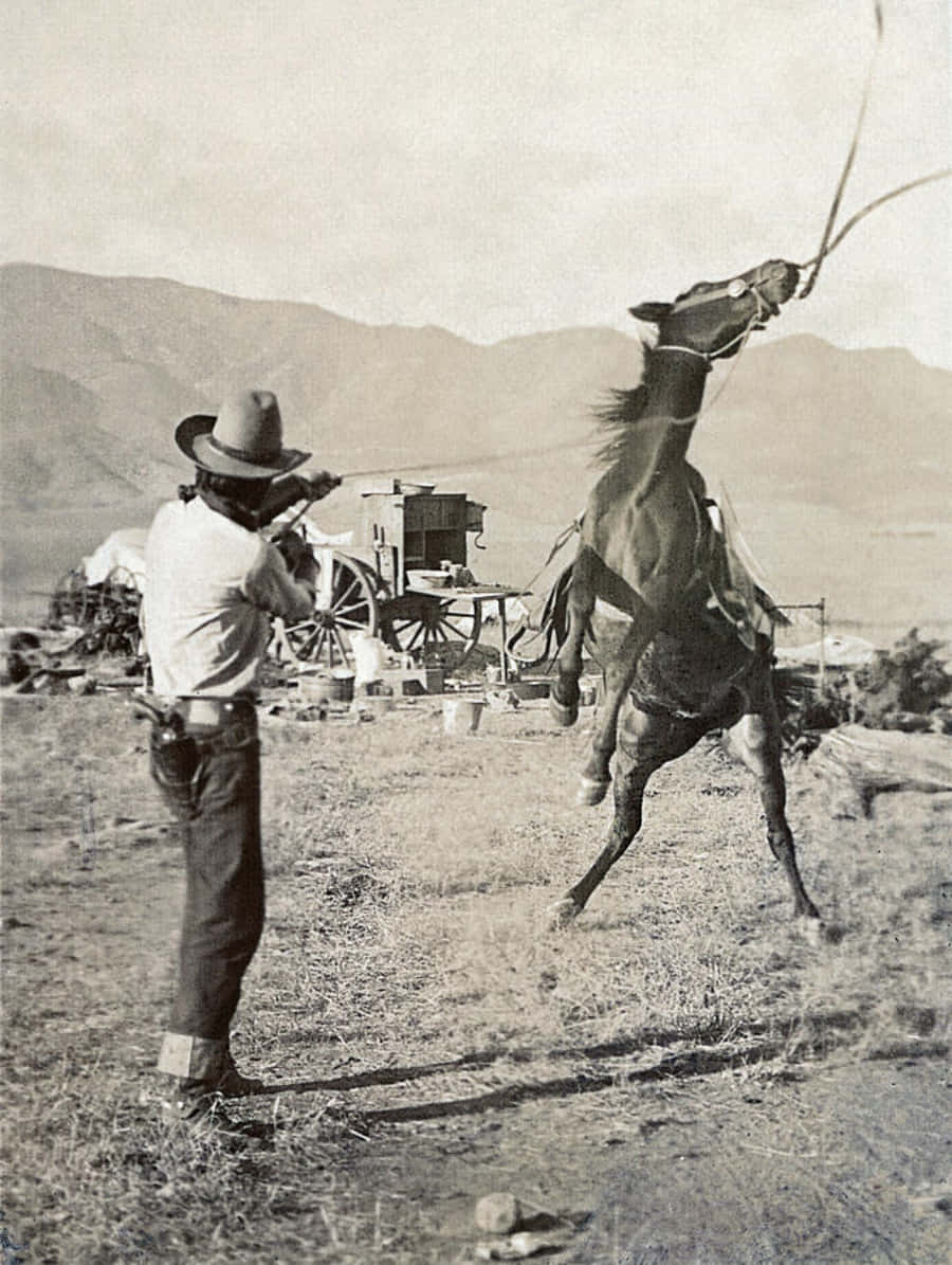 Old Cowboy Whipping Horse Picture
