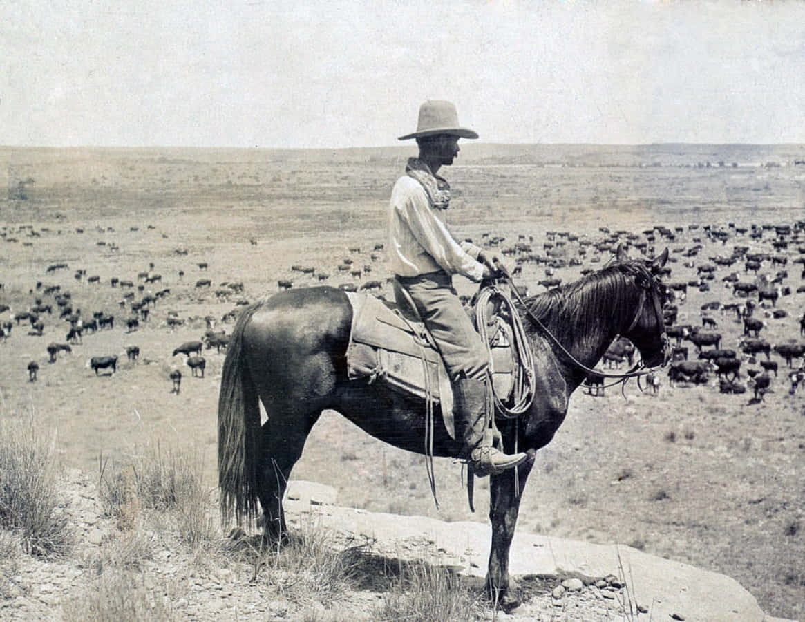 Vecchiaimmagine Vintage Di Un Cowboy Che Cavalca A Cavallo