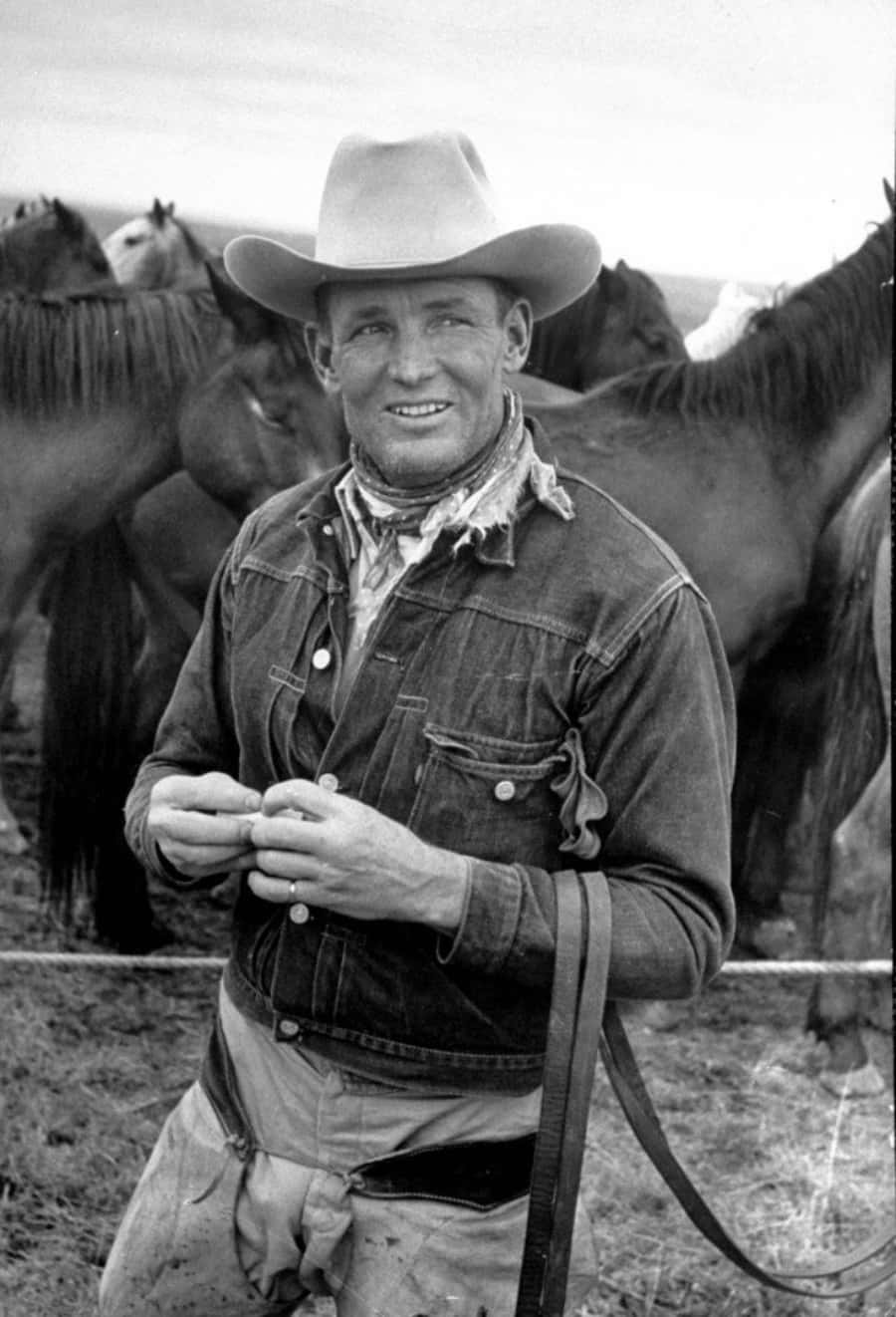 Greyscale Old Cowboy With Horses Picture