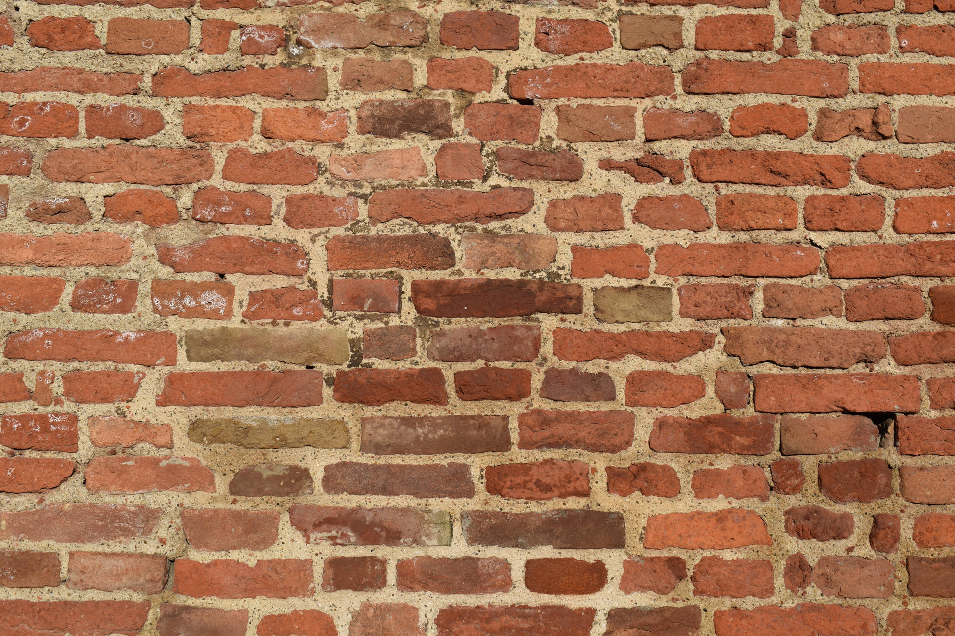 Old Falling Common Bricks Wallpaper
