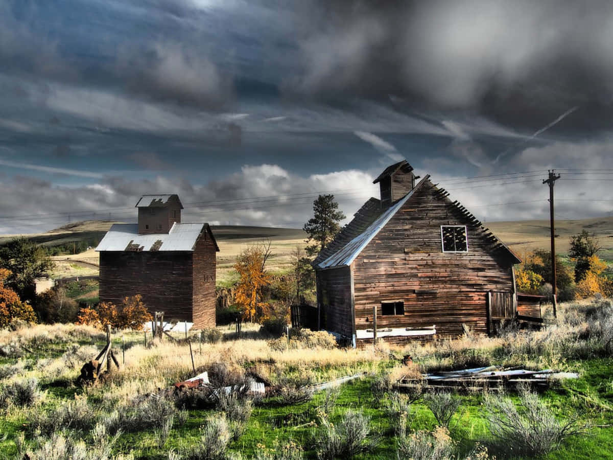 Explore the peaceful beauty of an old farm