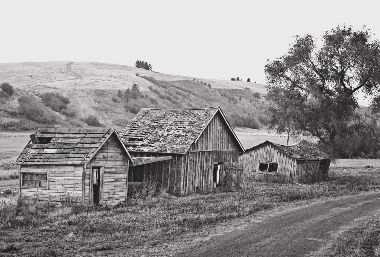 A View of an Old Country Farm