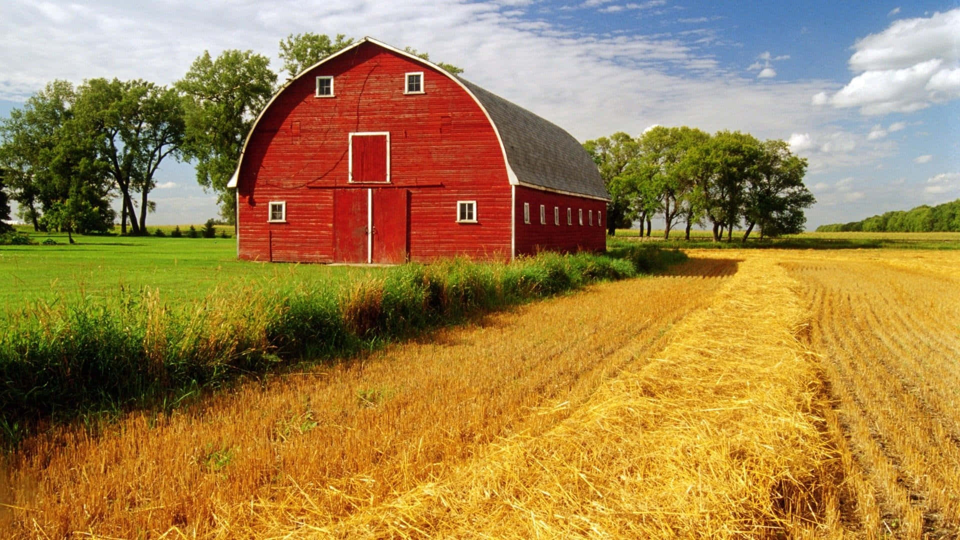Enjoy a peaceful late summer day at an old farm