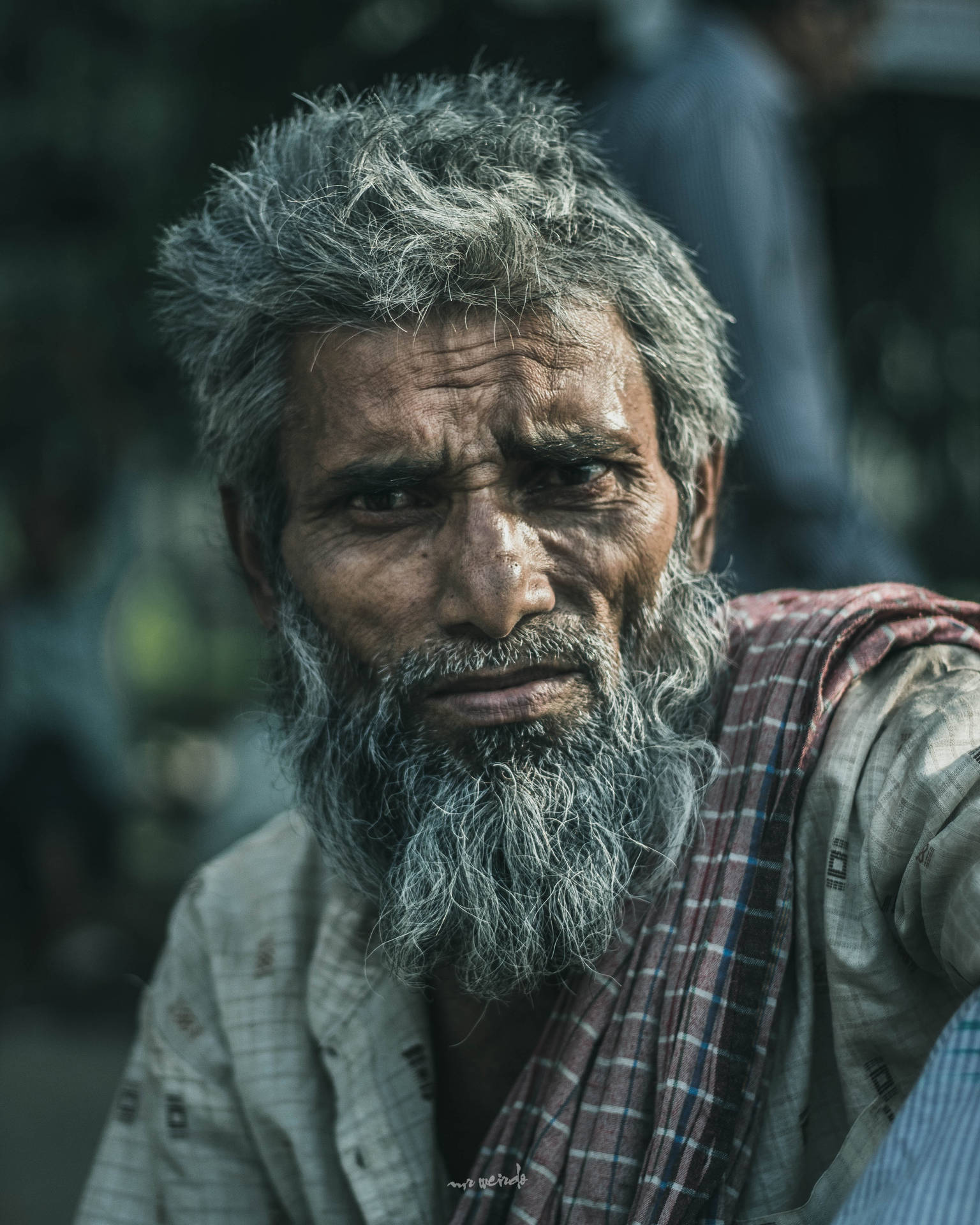 Ældre indiske mand levende portræt tapet Wallpaper