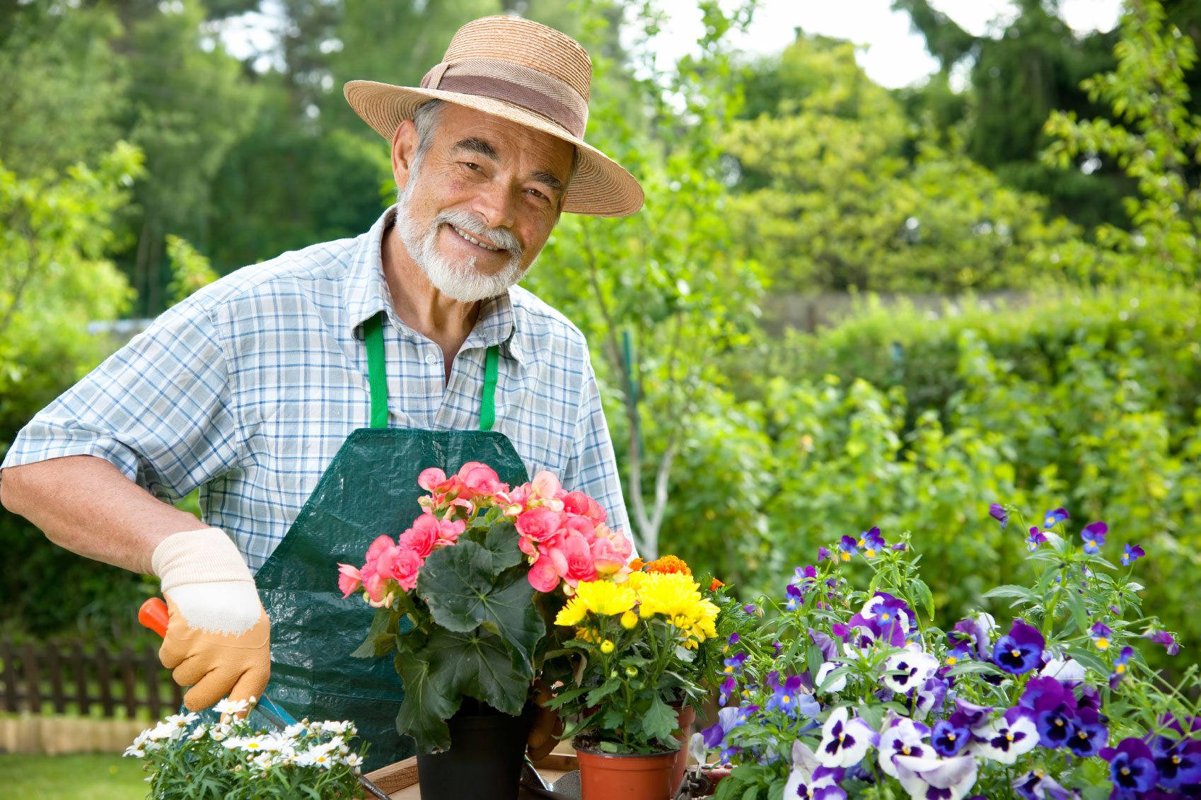 Uomo Anziano In Abito Da Giardinaggio Sfondo