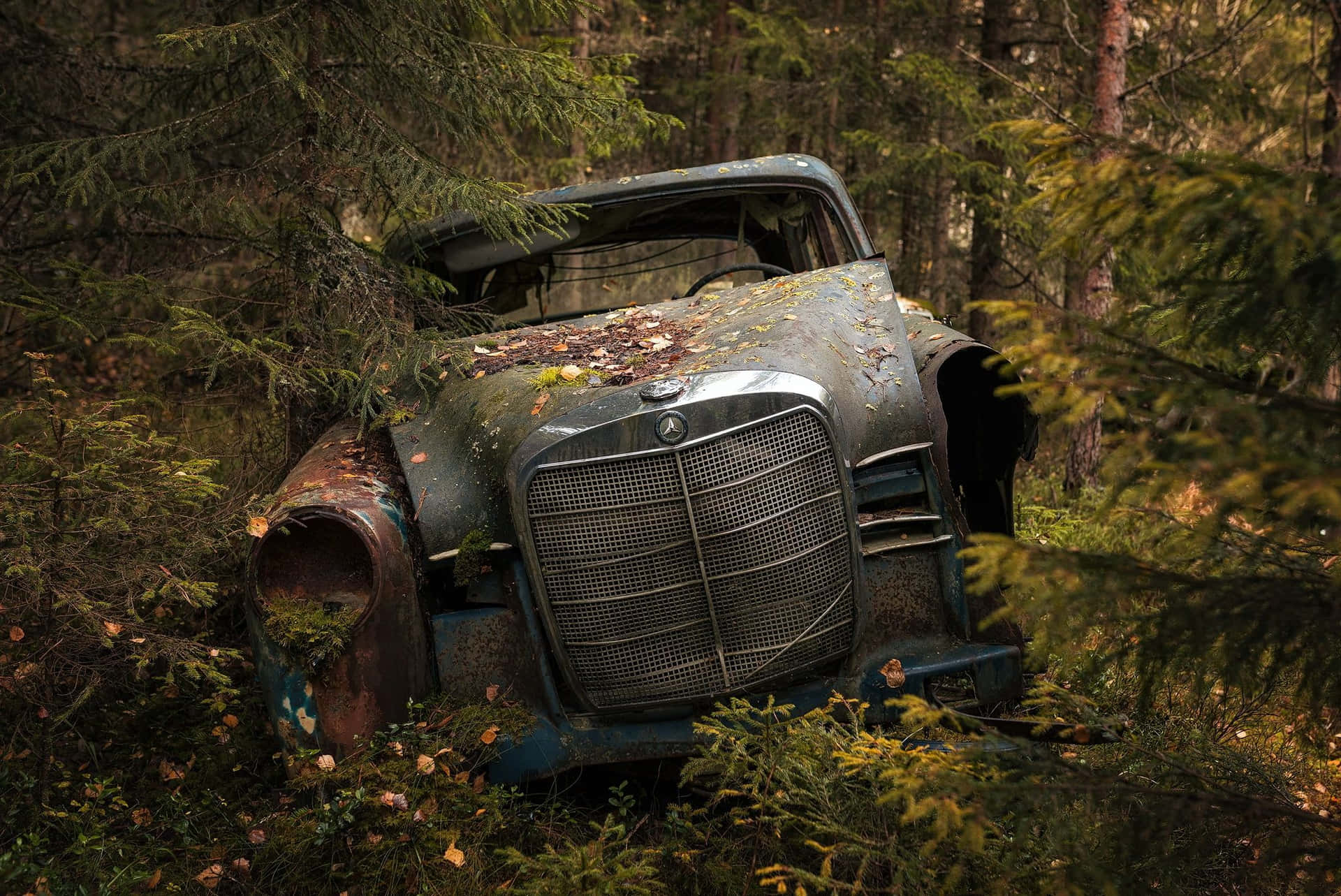 Altermercedes: Verlassenes Auto Im Wald Wallpaper