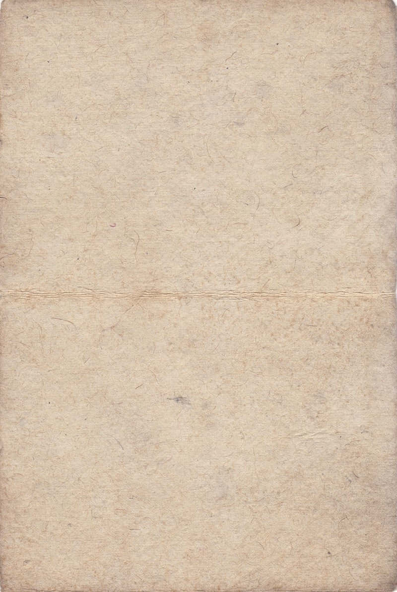 Old Paper Texture Light Gray Parchment Background