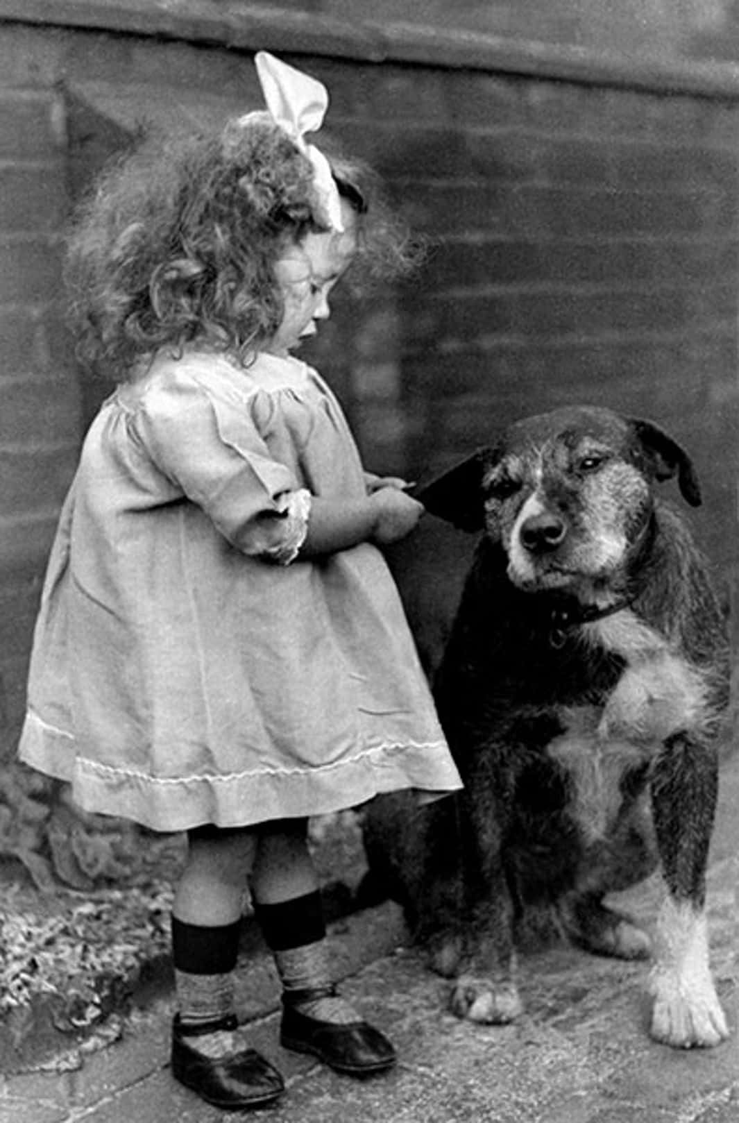 Baby And Dog Old Picture
