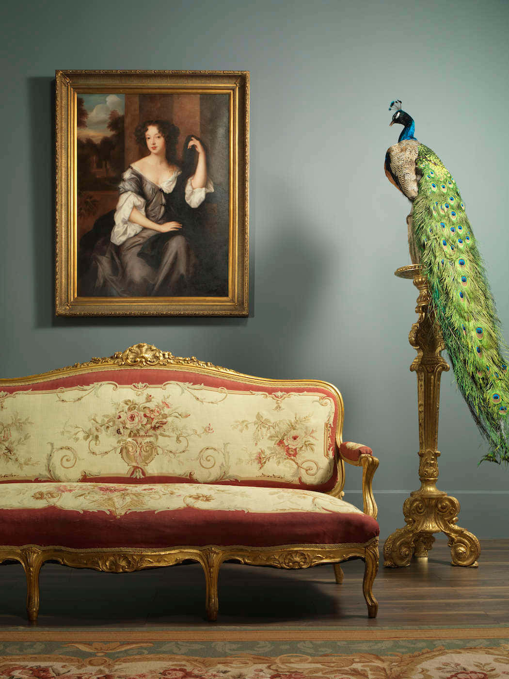 A Peacock Sitting On A Couch