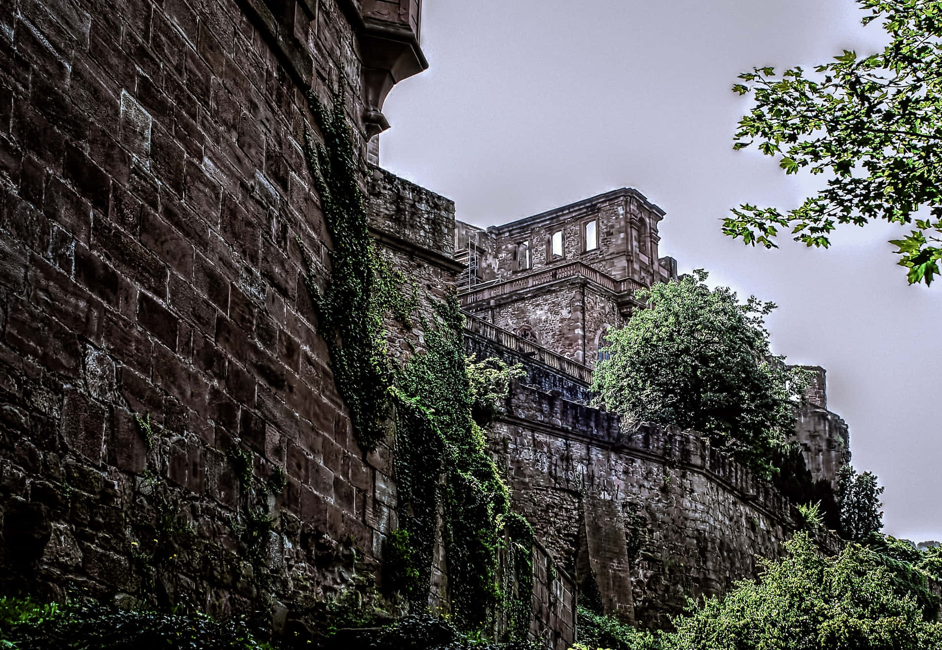 Old Walls Of Heidelberg Castle Wallpaper