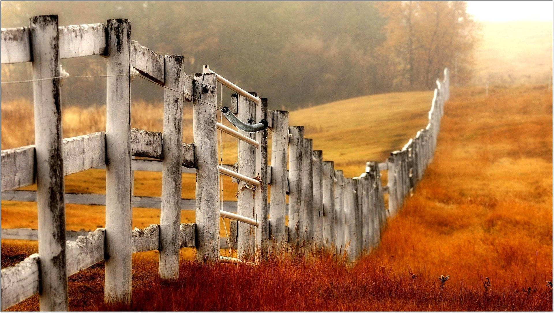 Old White Fence in Fall's Colorful Country Wallpaper