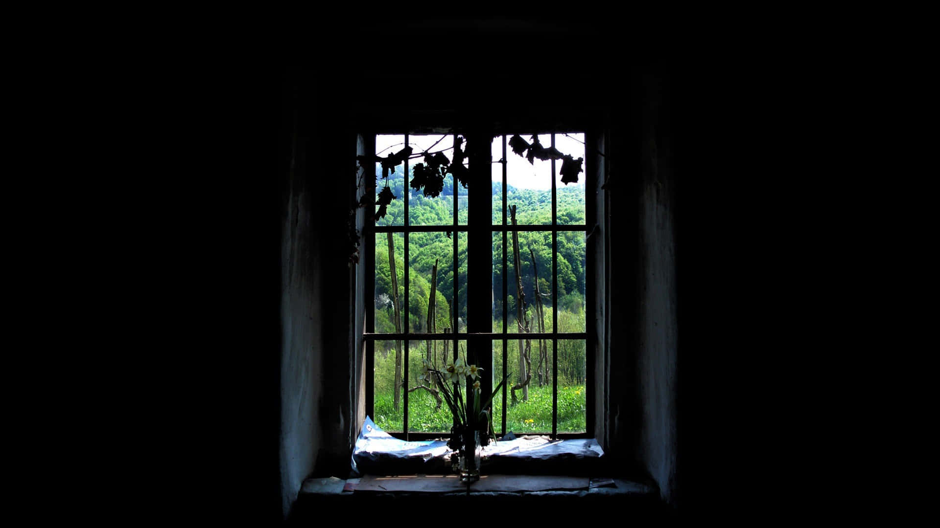 A Window With A View Of A Forest Wallpaper