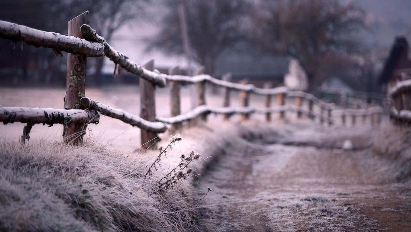 A Wooden Fence With Frost On It Wallpaper