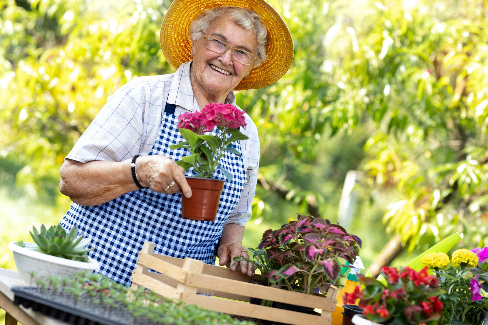 Download A Mature Woman Tending Her Lush Garden Wallpaper 7394