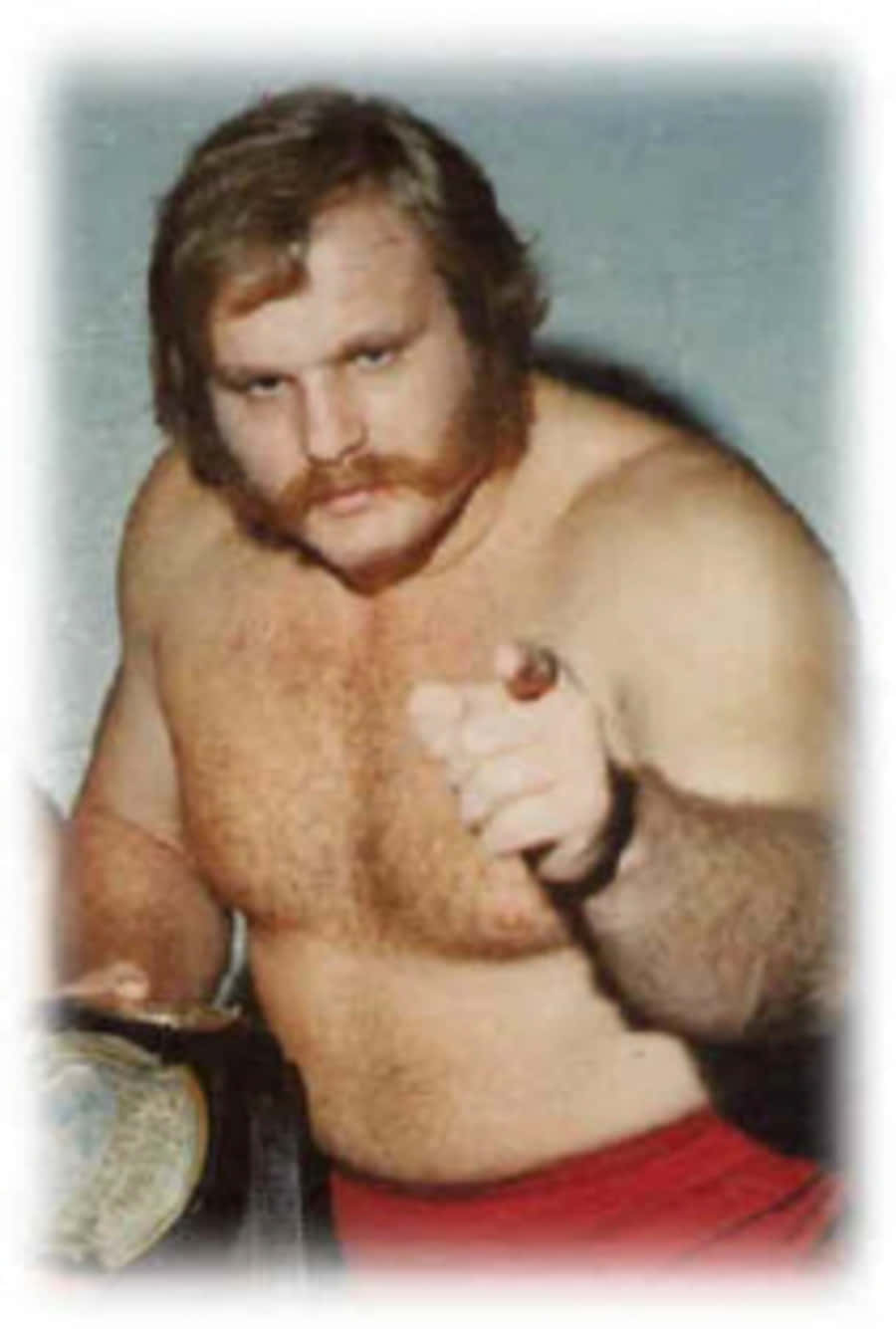 Ole Anderson Points Finger Wallpaper