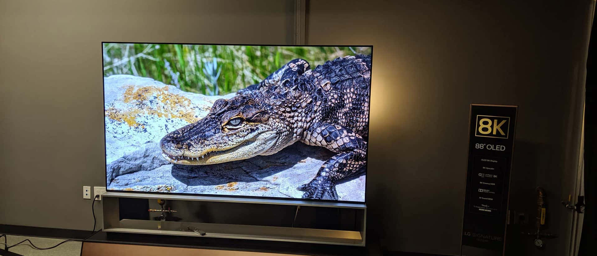 Oled 8k Tv Picture