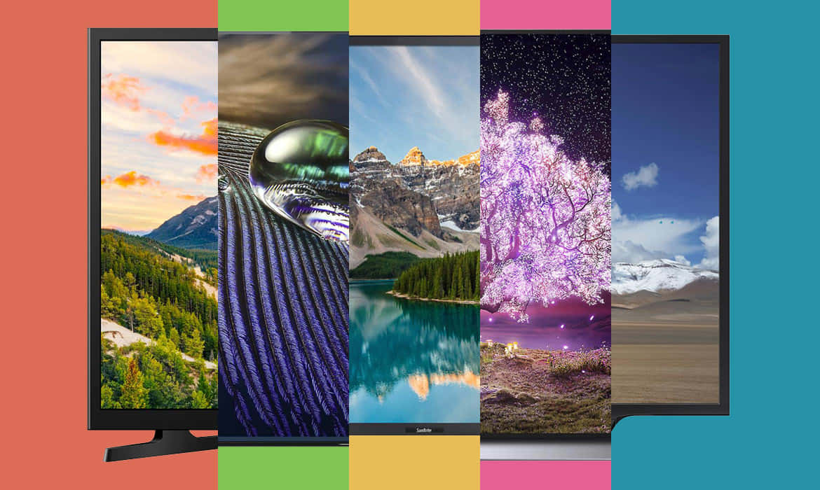 Oled TV Collage Picture