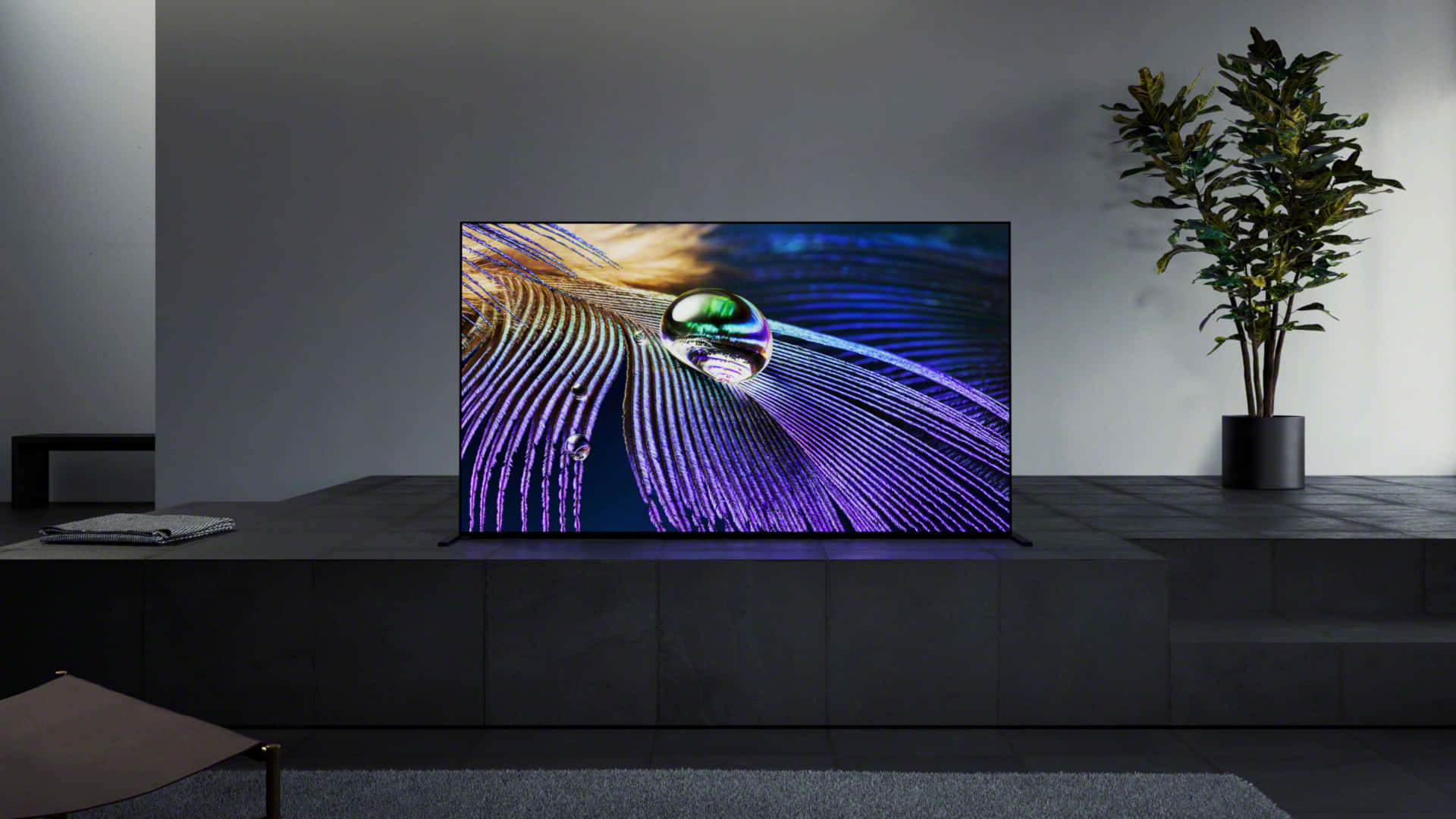 Oled Tv Set Picture