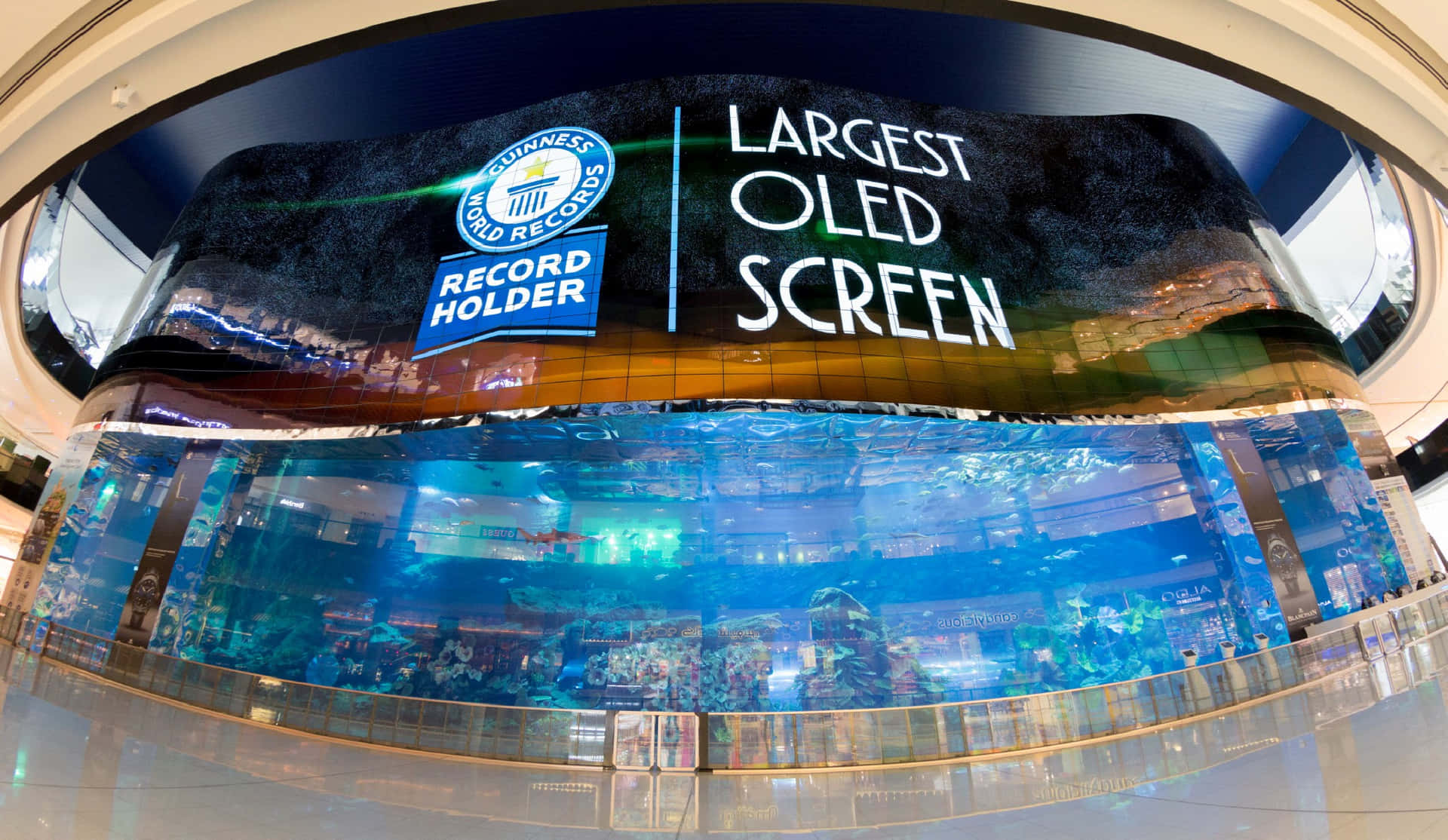 Oled Guinness Record Holder Picture