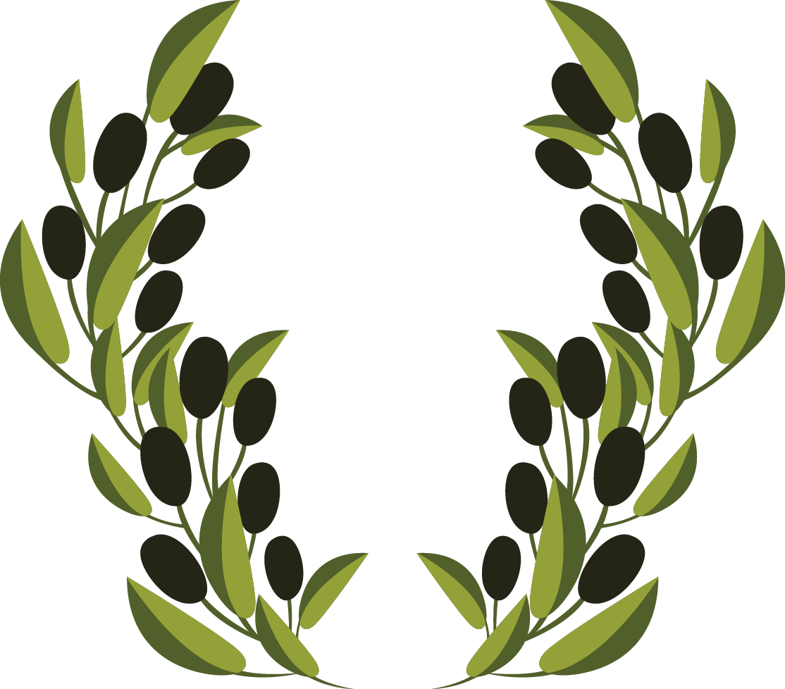 Olive Branch Symmetry PNG