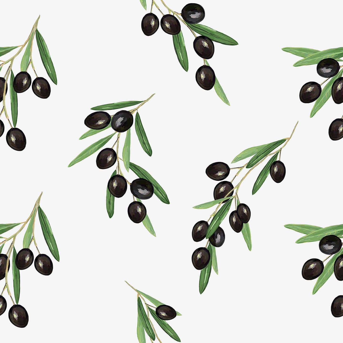 Olive Branch Watercolor Paint Wallpaper